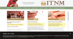 Desktop Screenshot of itnm.es